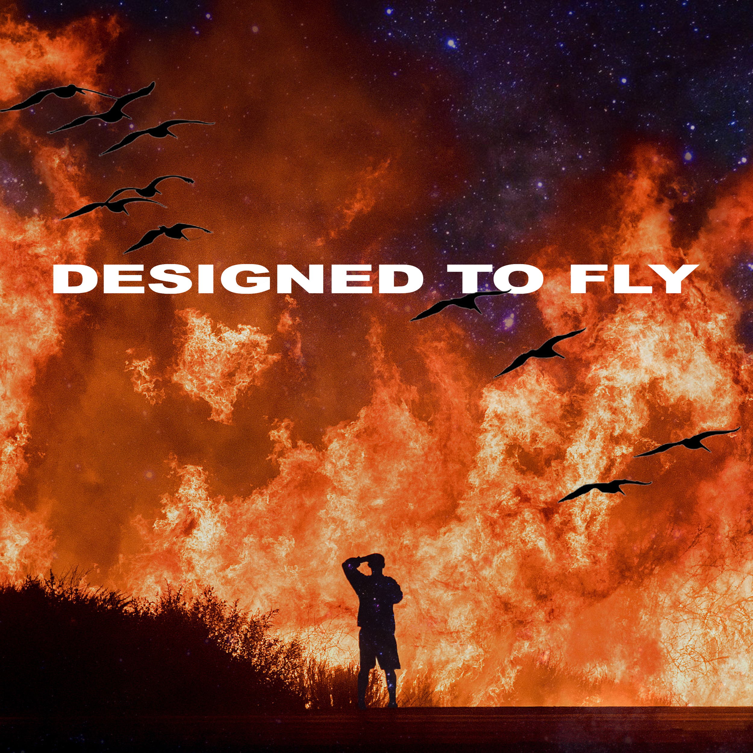 Designed to Fly (official track art).png