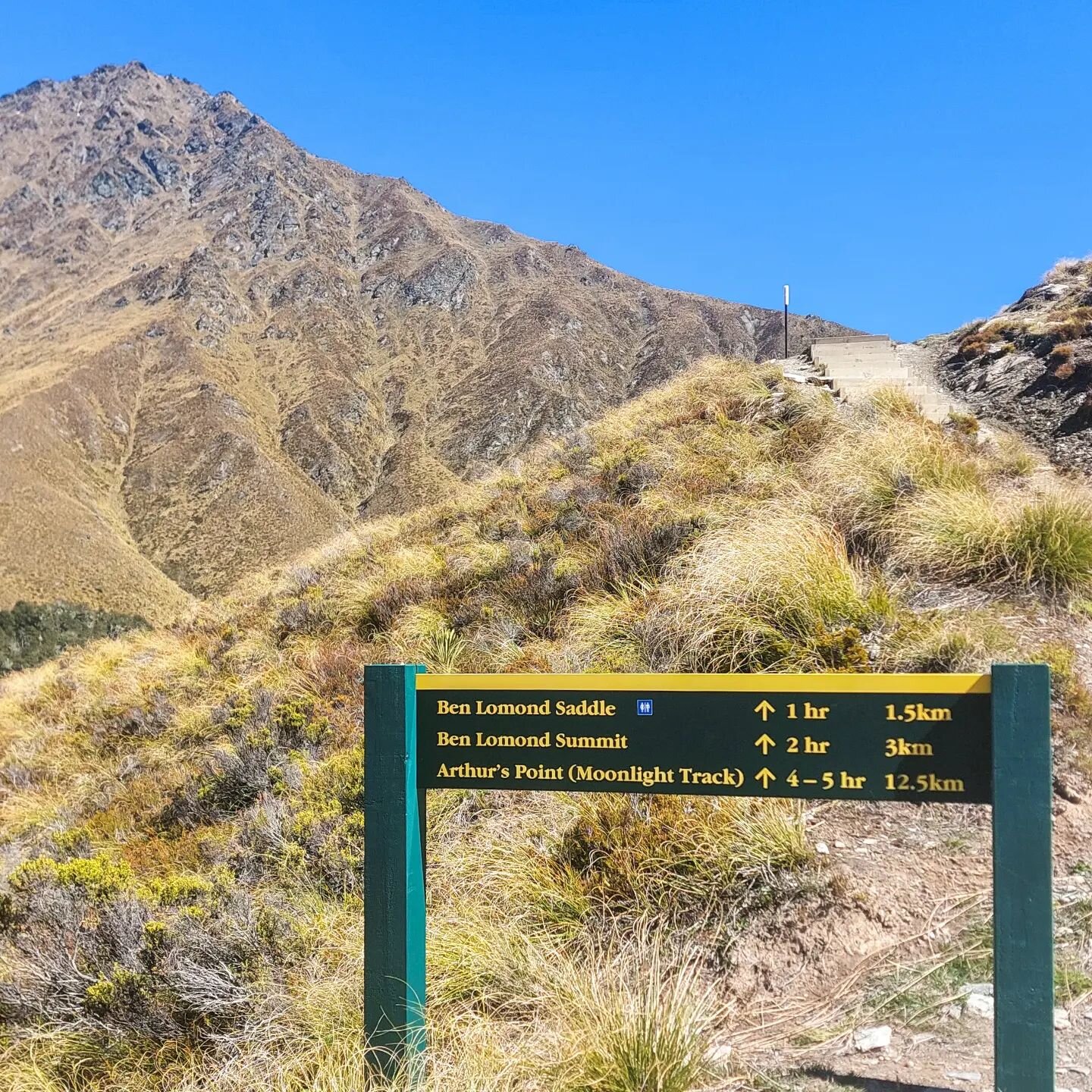 New Zealand &ndash; Ben Lomond summit
(swipe &gt;&gt; for slideshow)

DUTCH IN COMMENTS

In Queenstown it was time for some serious climbing again. This is possible in most of New Zealand, but in Queenstown you can climb &ldquo;Ben Lomond.

Both when