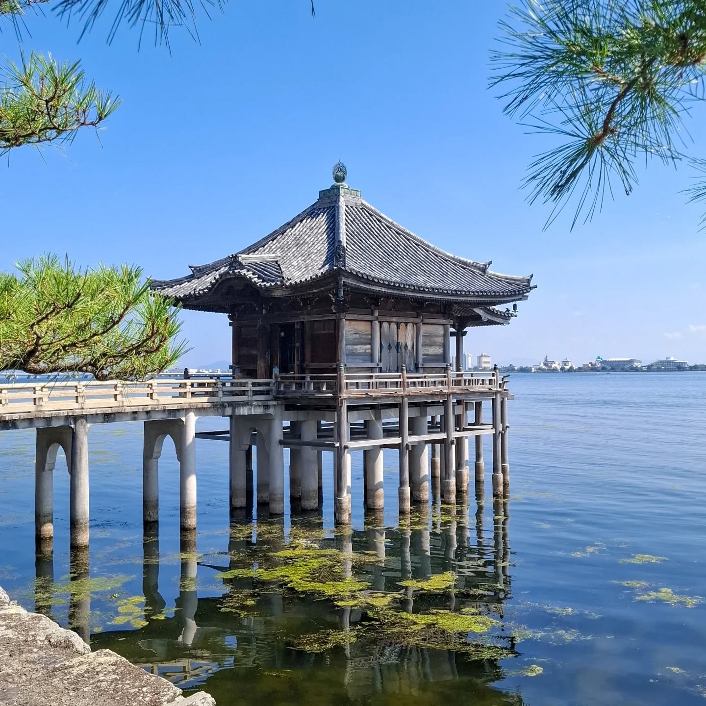 Asia Tour 2024 | Japan
(swipe for slideshow &gt;&gt;)
(Dutch in comments)

Camping Roadtrip Japan | Part 4

We made a lovely stop on the western side of Lake Biwa, Japan&rsquo;s largest freshwater lake. And yes, Kyoto is located on this lake, but for
