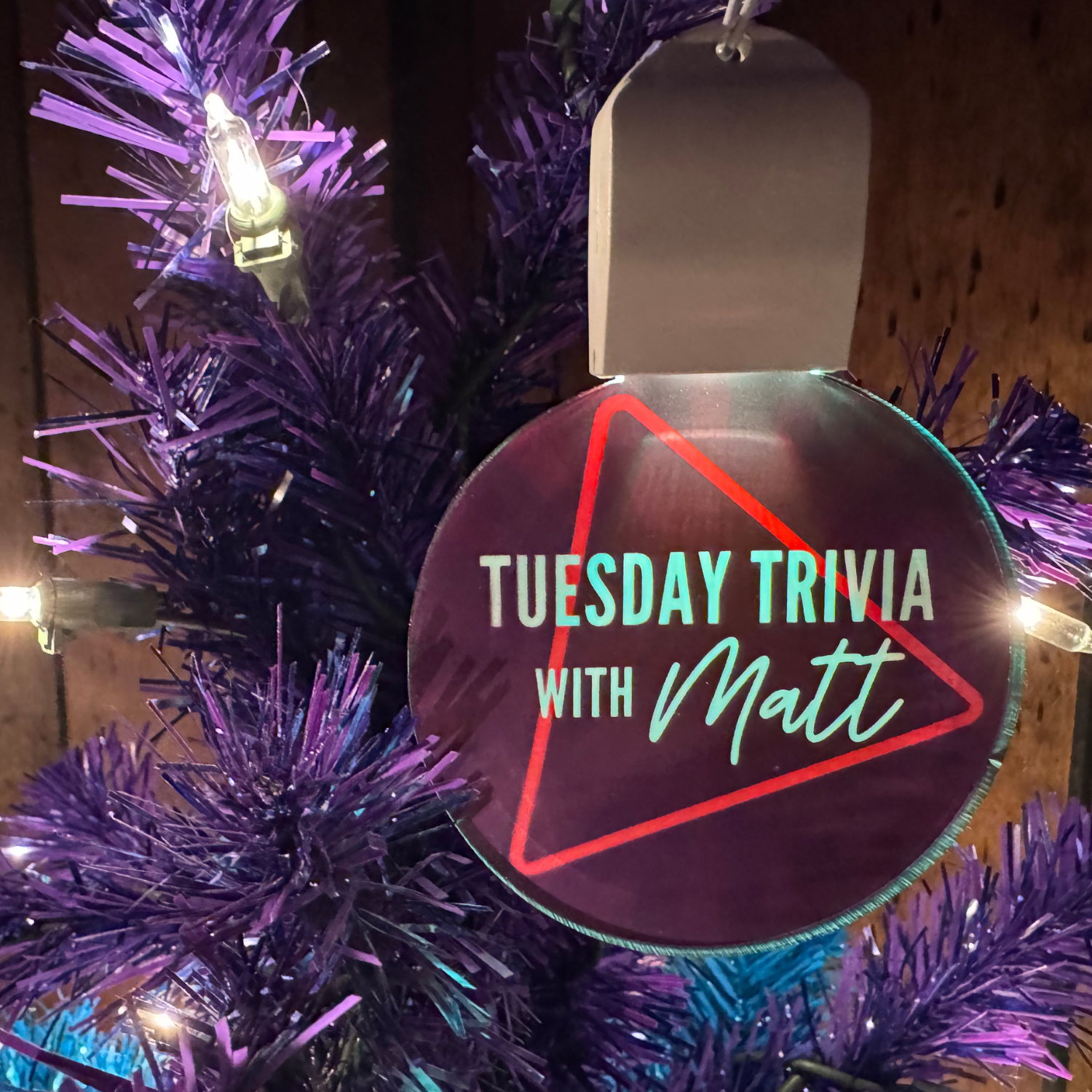 TTWM Light-Up Ornament 🔆