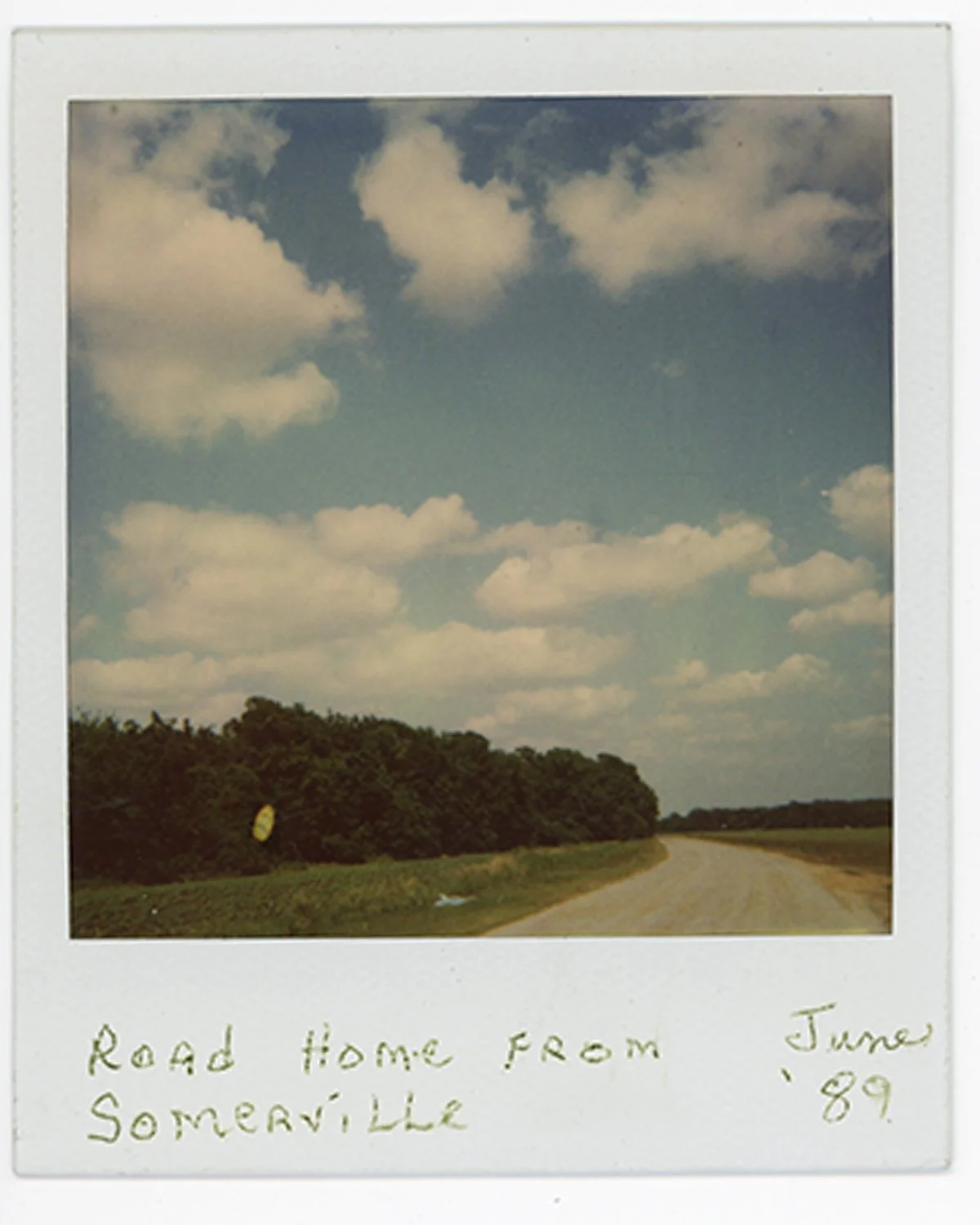 polaroid014.jpg