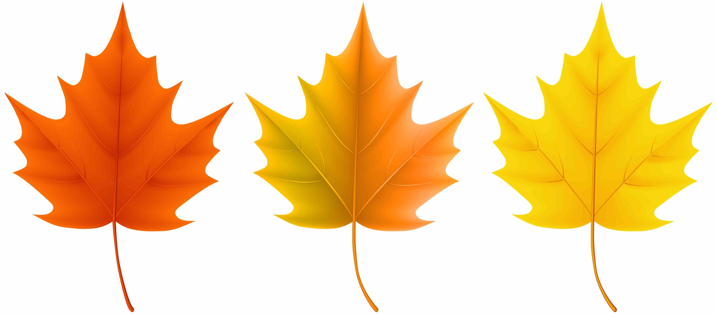 Autumn_Leaves_Set_PNG_Clip_Art_Image.jpg