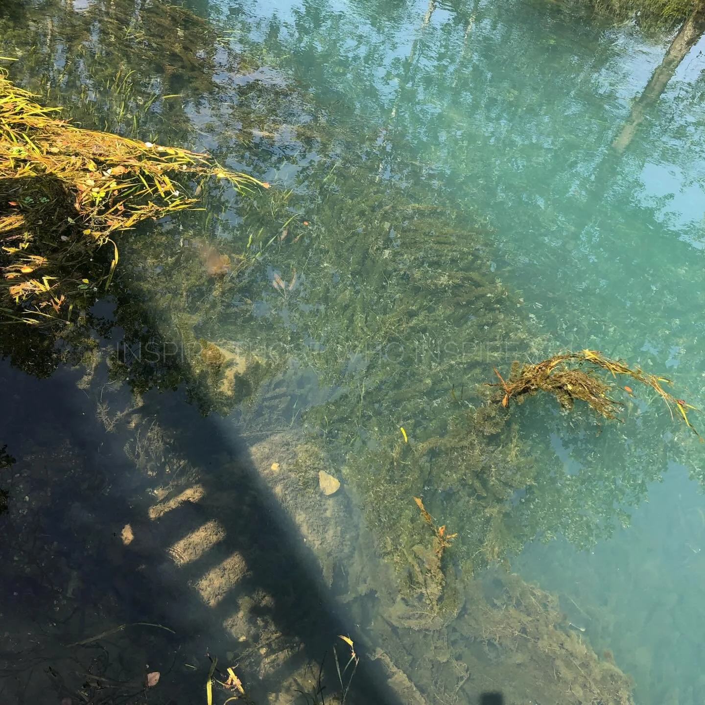 #NewPost &ldquo;Coral Reefs &amp; Kangaroos&rdquo;

From vast reefs to open seas, these nations breathe with rhythm of the Pacific

A world of island nations and oceanic wonders

✈️: 🇦🇺 => 🇨🇰 => 🇫🇯 => 🇰🇮 => 🇲🇭 => 🇫🇲 
&bull;