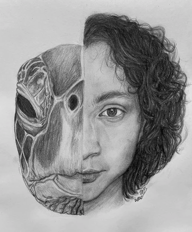 Screen Shot 2020-09-13 at 2.38.51 PM.png