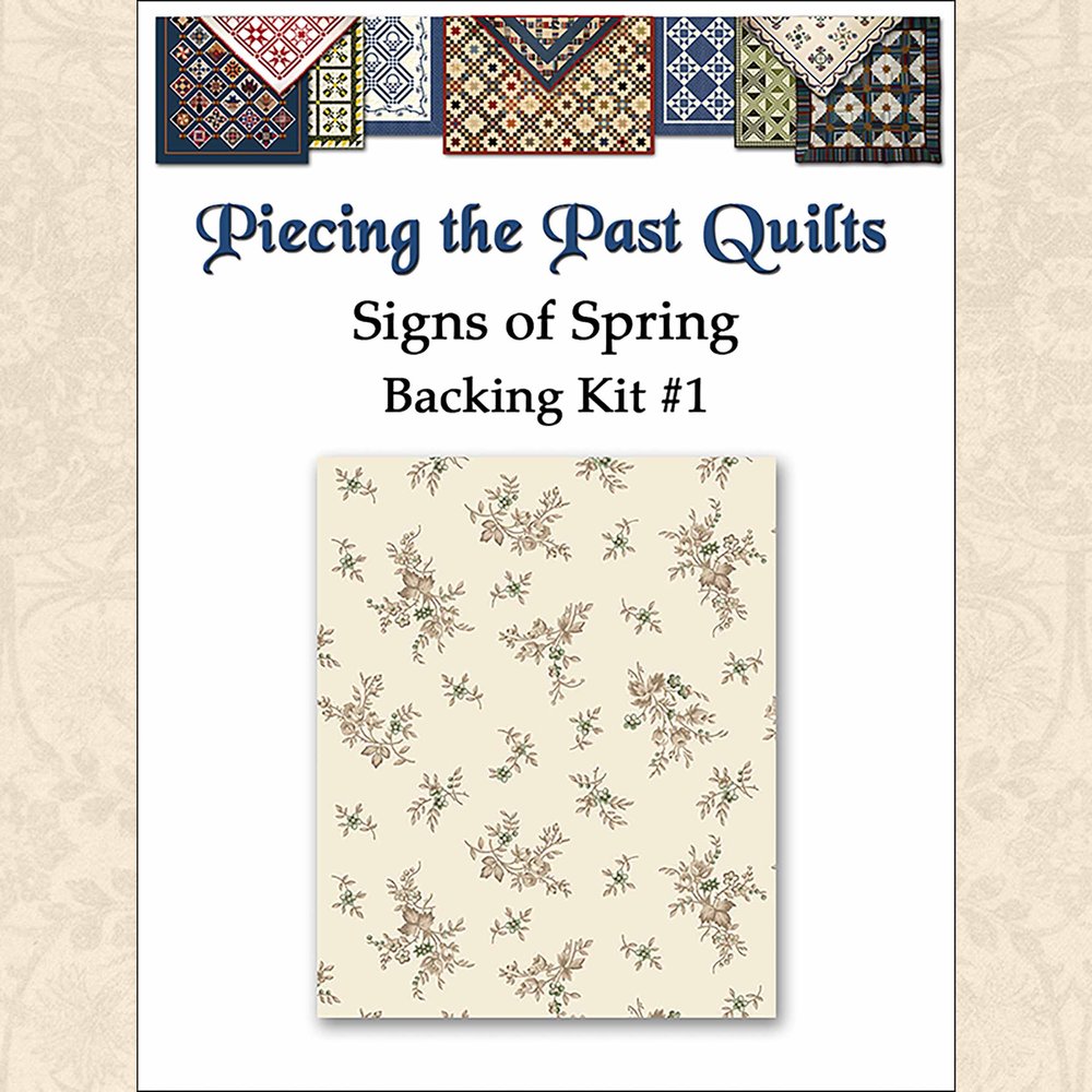 ALL QUILTY 400 Shapes - 2 Square English Paper Piecing Templates Quilt -  Tony's Restaurant in Alton, IL