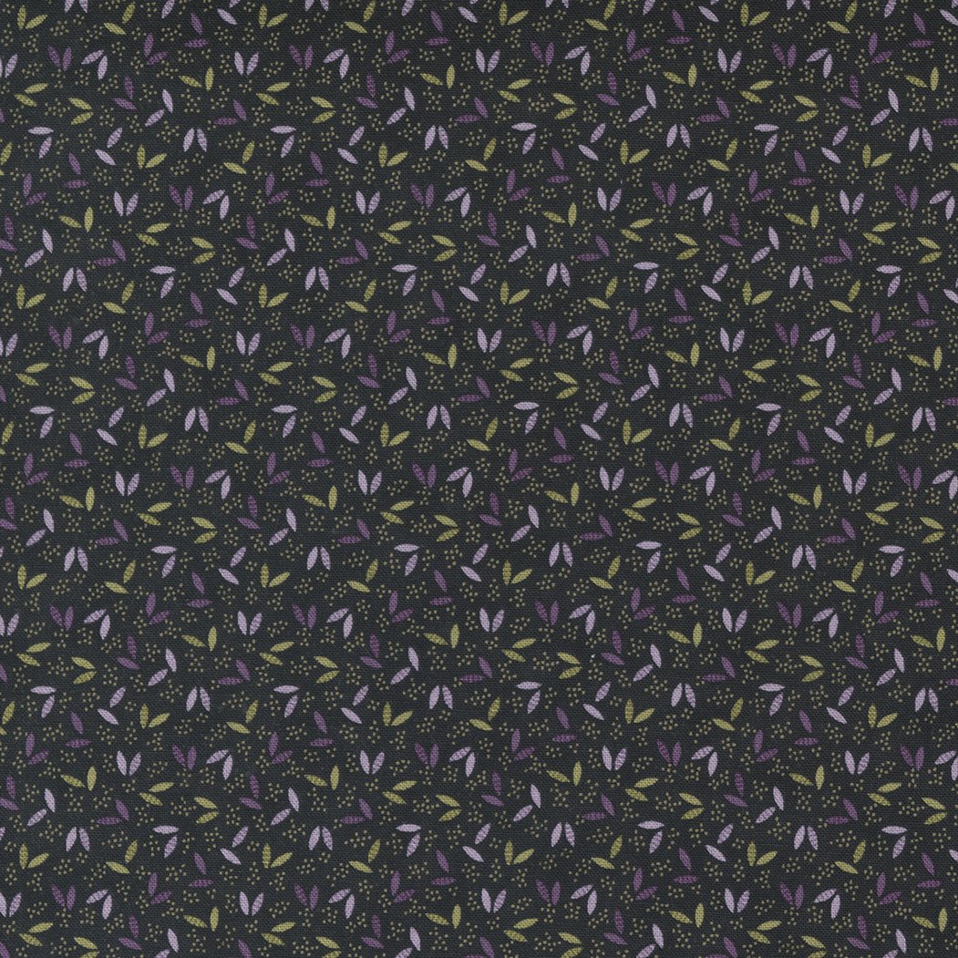 Iris Ivy 2255-15
