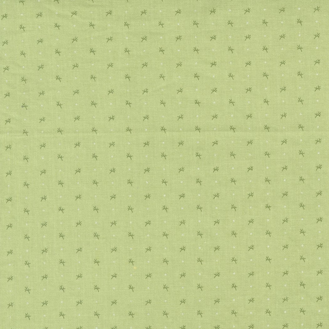 Dinahs Delight 31678-17