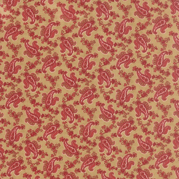 Polka Dots Paisleys 14802-13