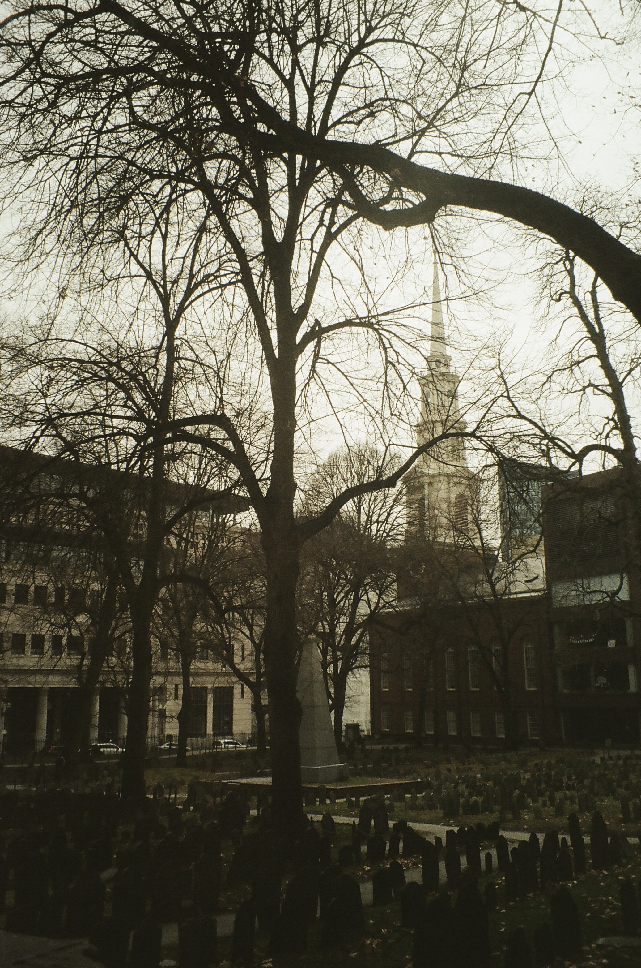IMG_1576.jpeg