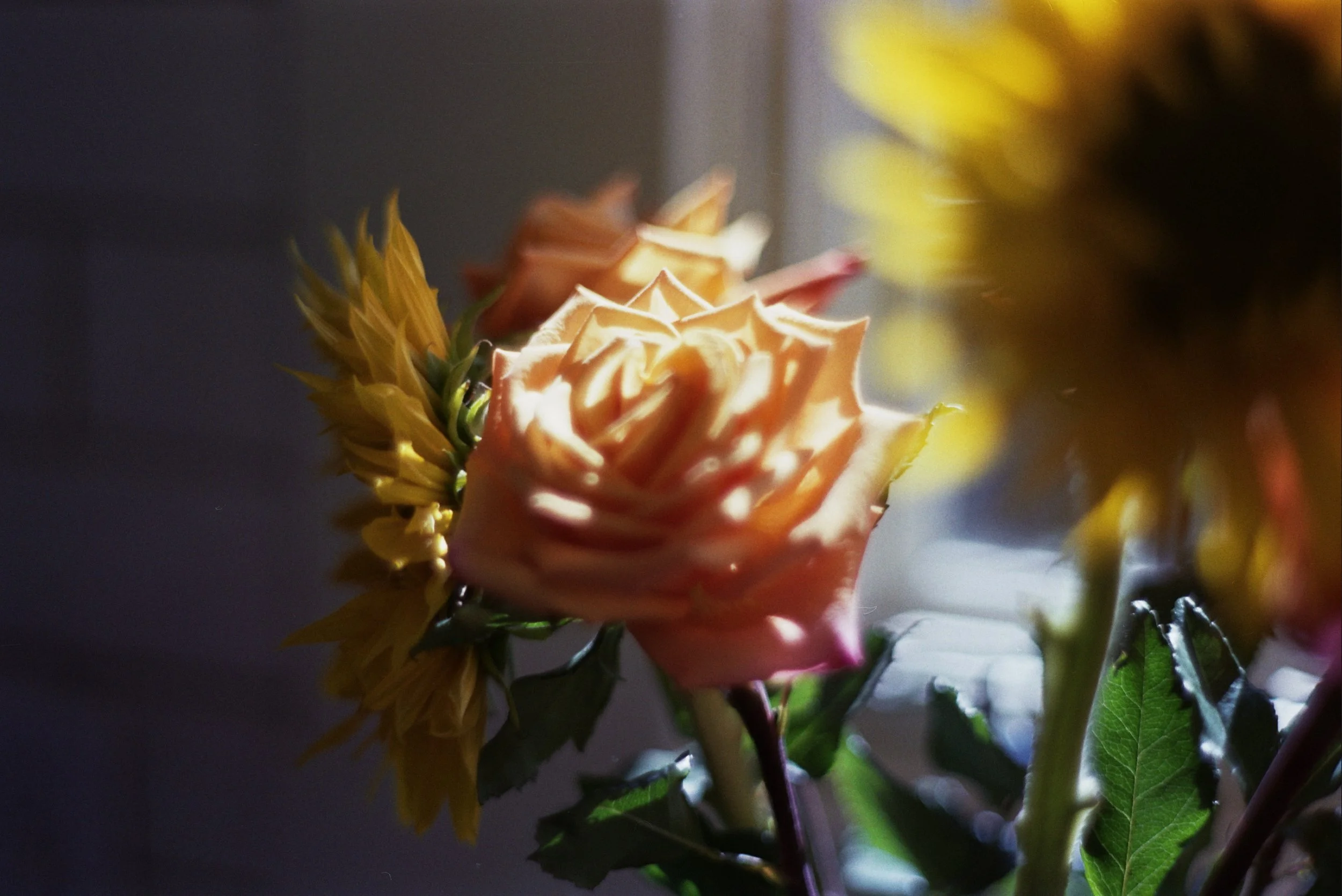 transitioning between years