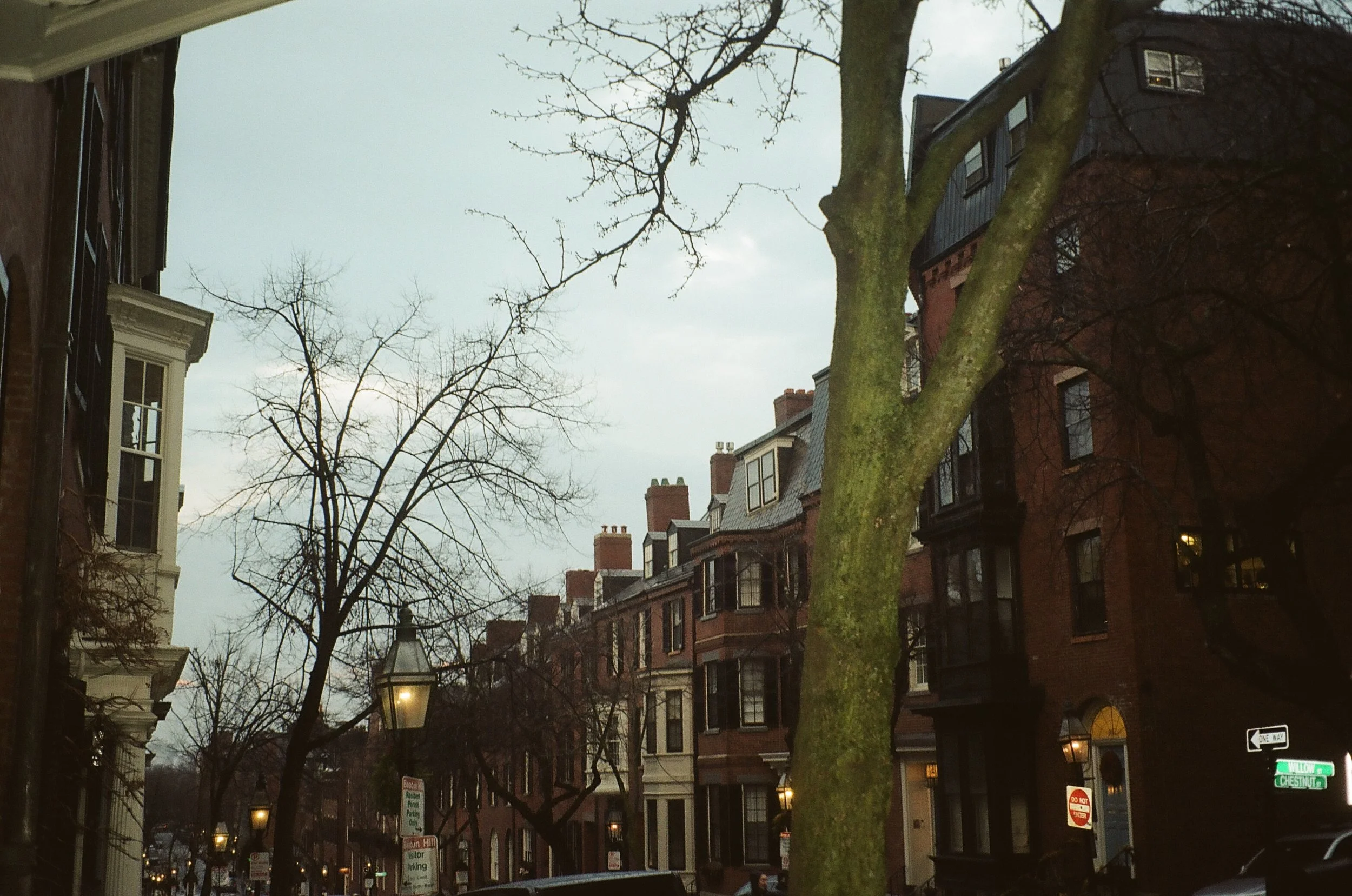 IMG_1558.jpeg