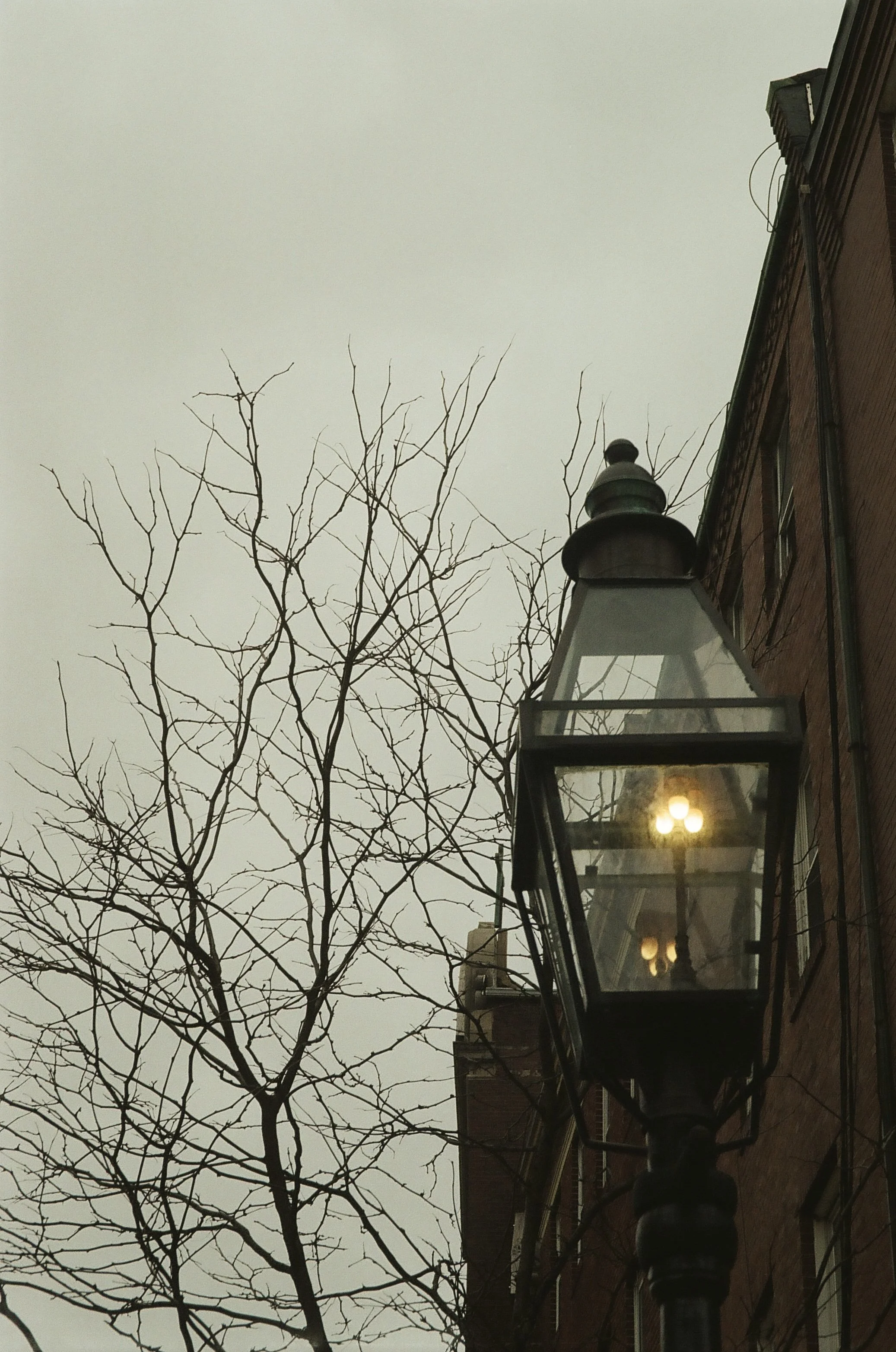 IMG_1560.jpeg