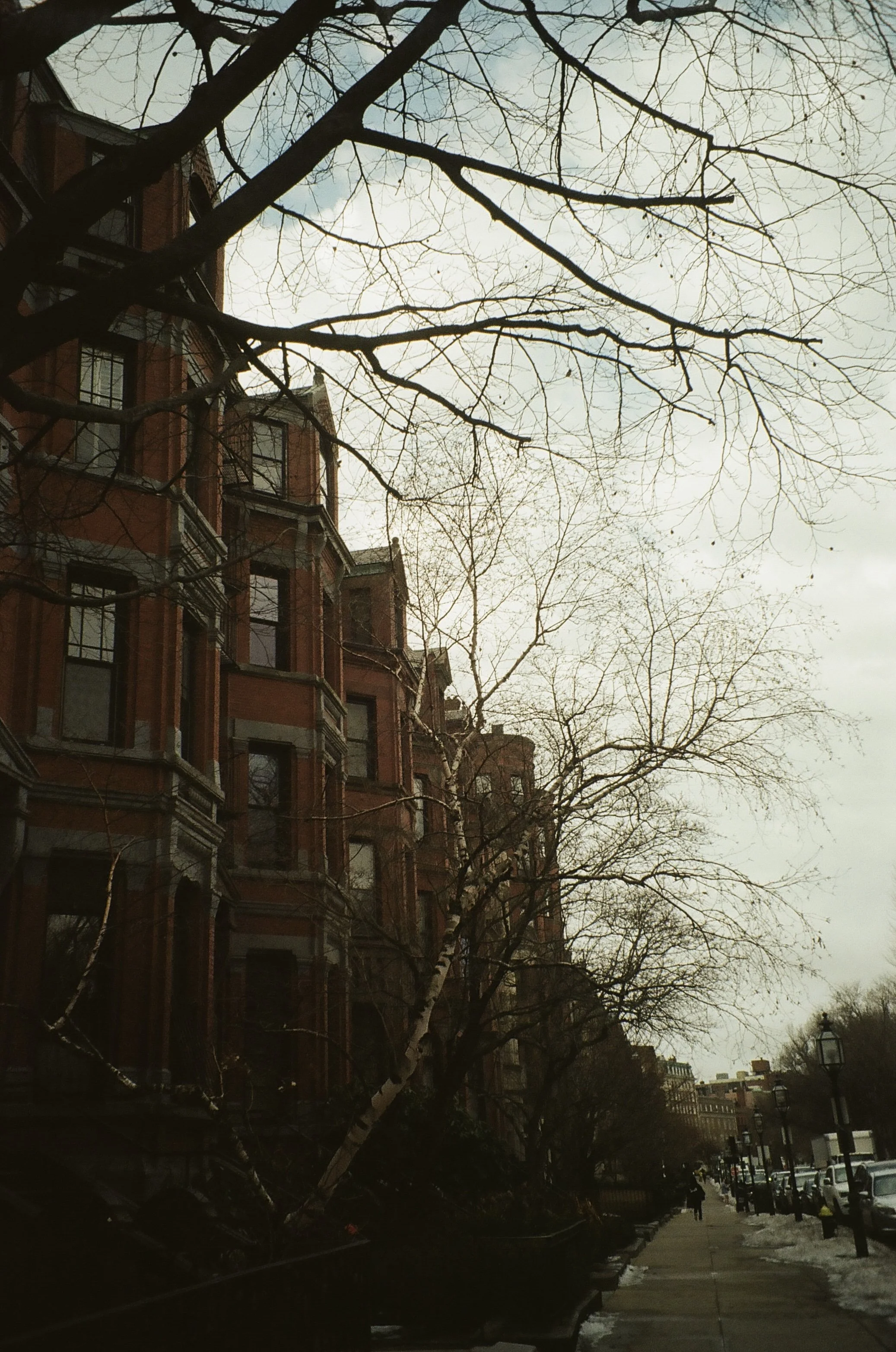 IMG_1565.jpeg
