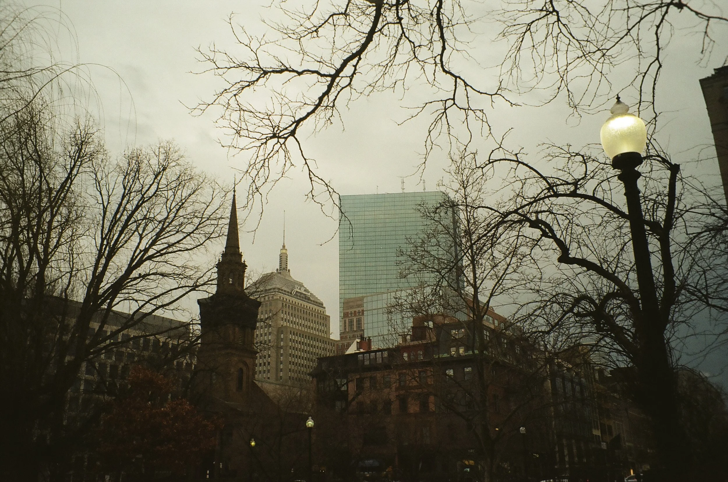 IMG_1587.jpeg