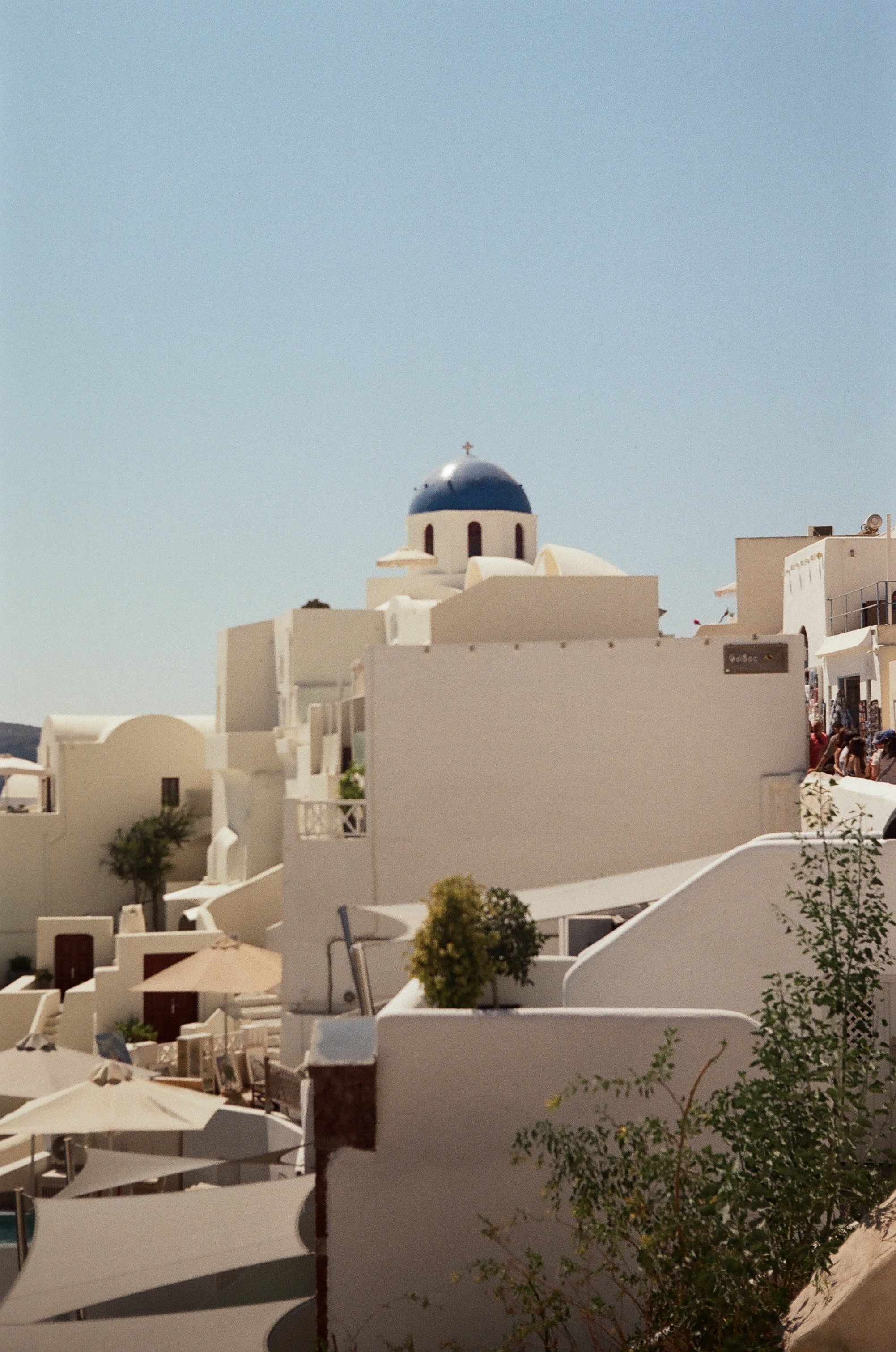 IMG_0953.jpeg