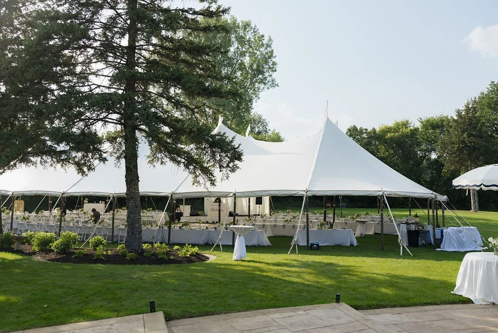 Backyard wedding in Saint Paul, MN