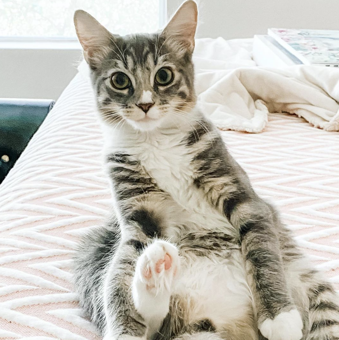 Screen Shot 2020-09-11 at 8.44.41 PM.png