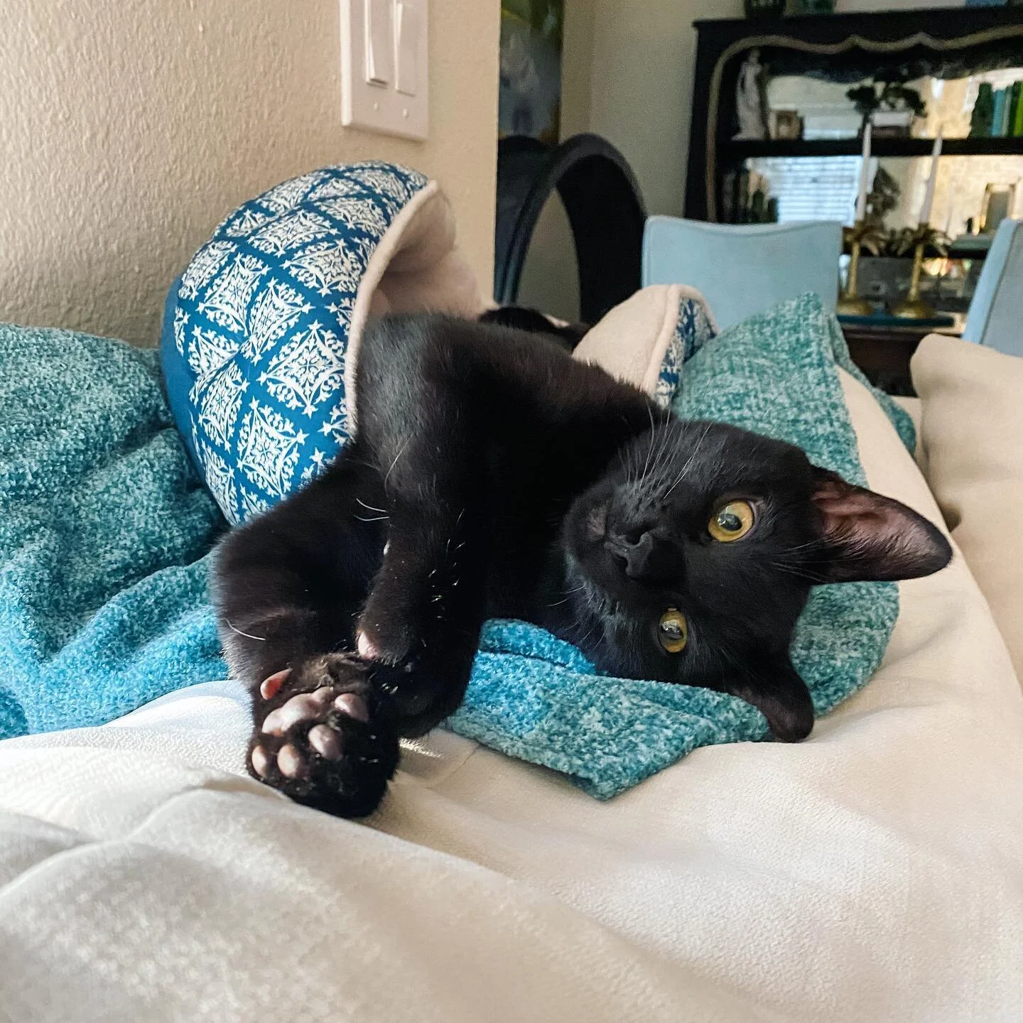 See I&rsquo;m adorbs 🥰 too!