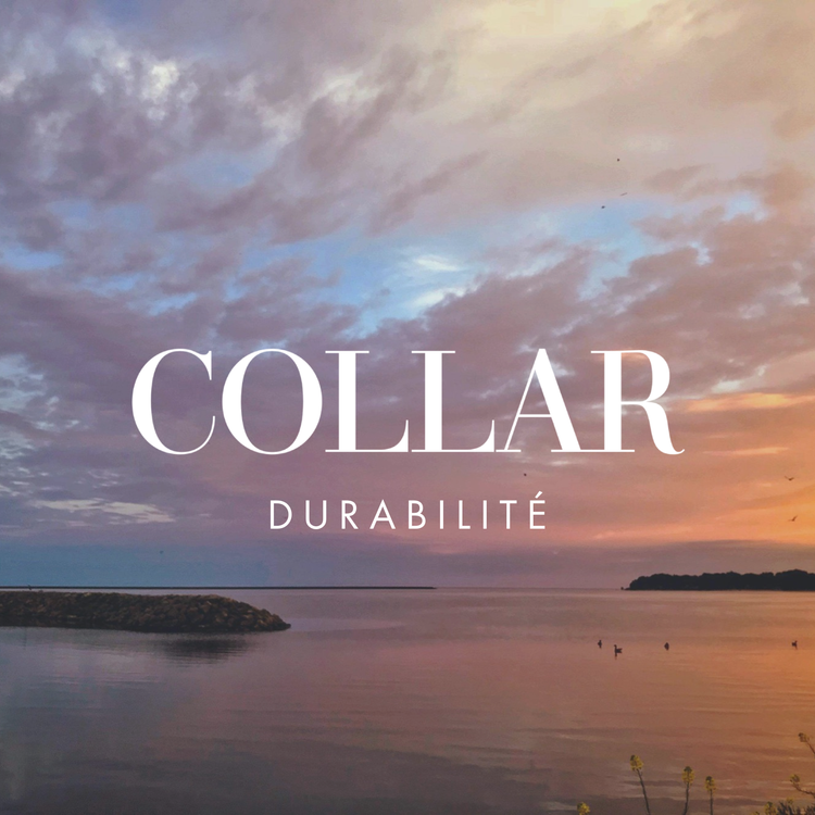 Collar Artiste Peintre