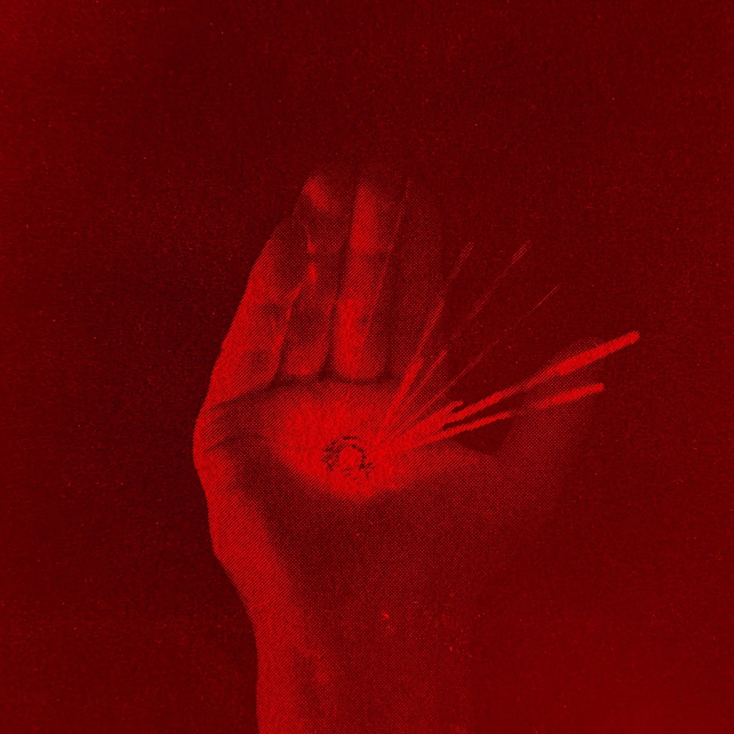 Man Is Not a Bird.jpeg