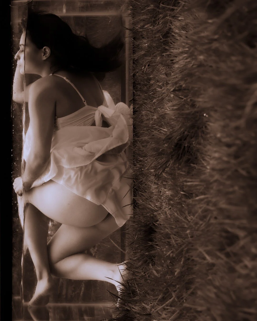 Shy Tank-11 (Large).JPG