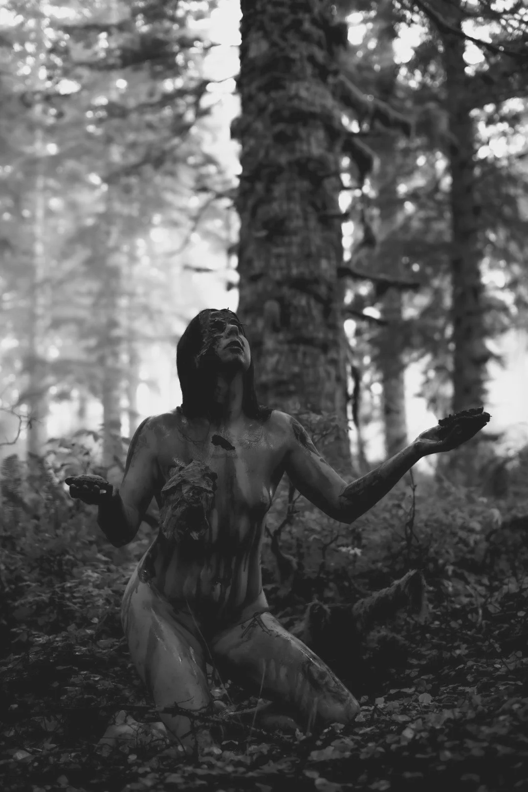 Zander wasp -16 (Large).JPG