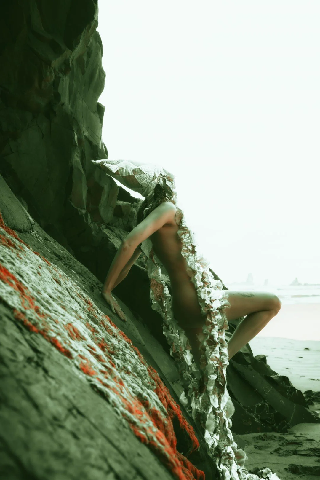 Squid beach-65 (Large).JPG