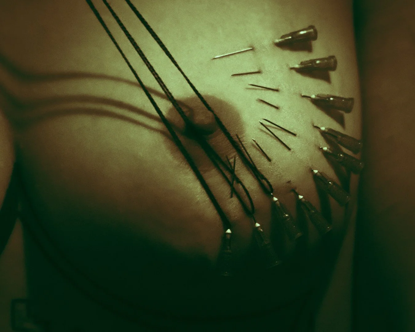 Sin needles-17 (Large).JPG