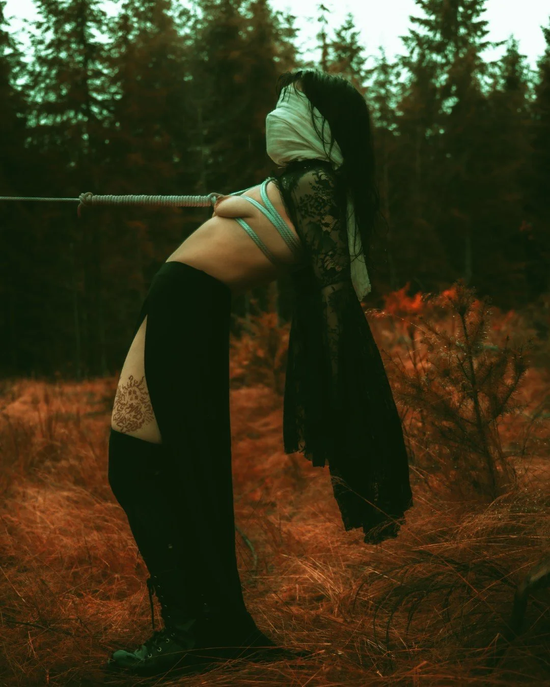 alexis tv-32 (Large).JPG