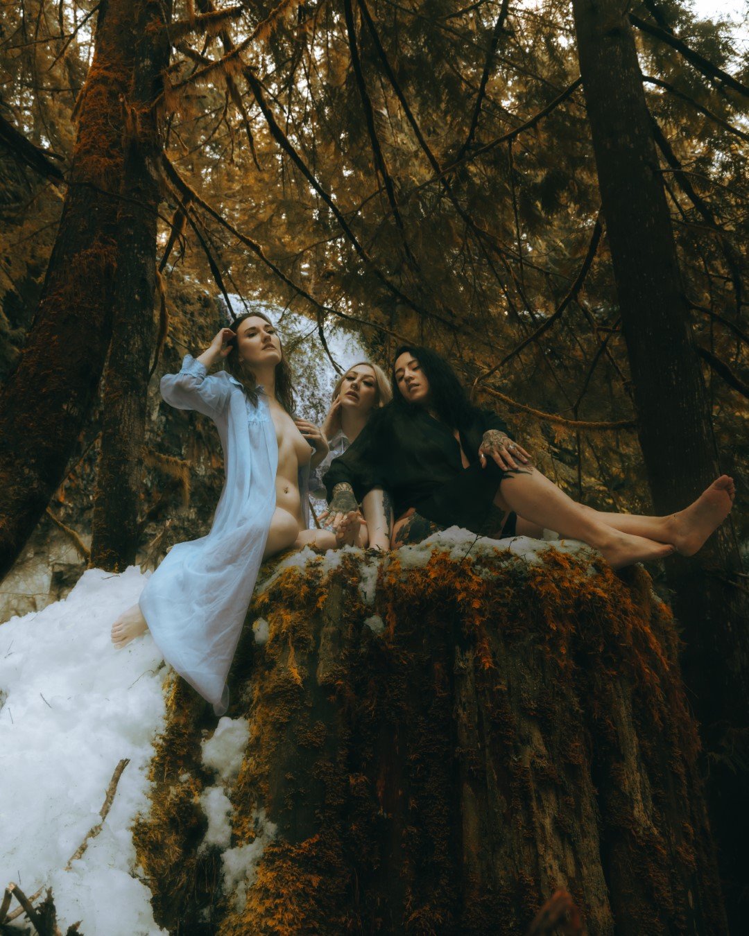 gnat falls snow-3 (Large).JPG