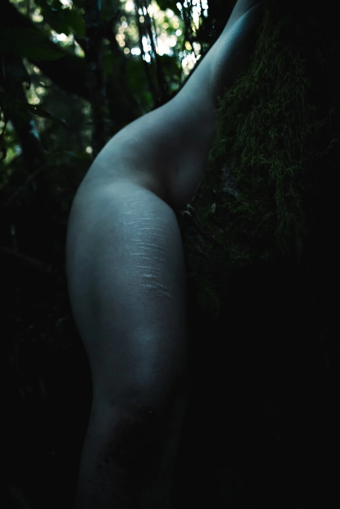 Enduring-74 (Large).JPG