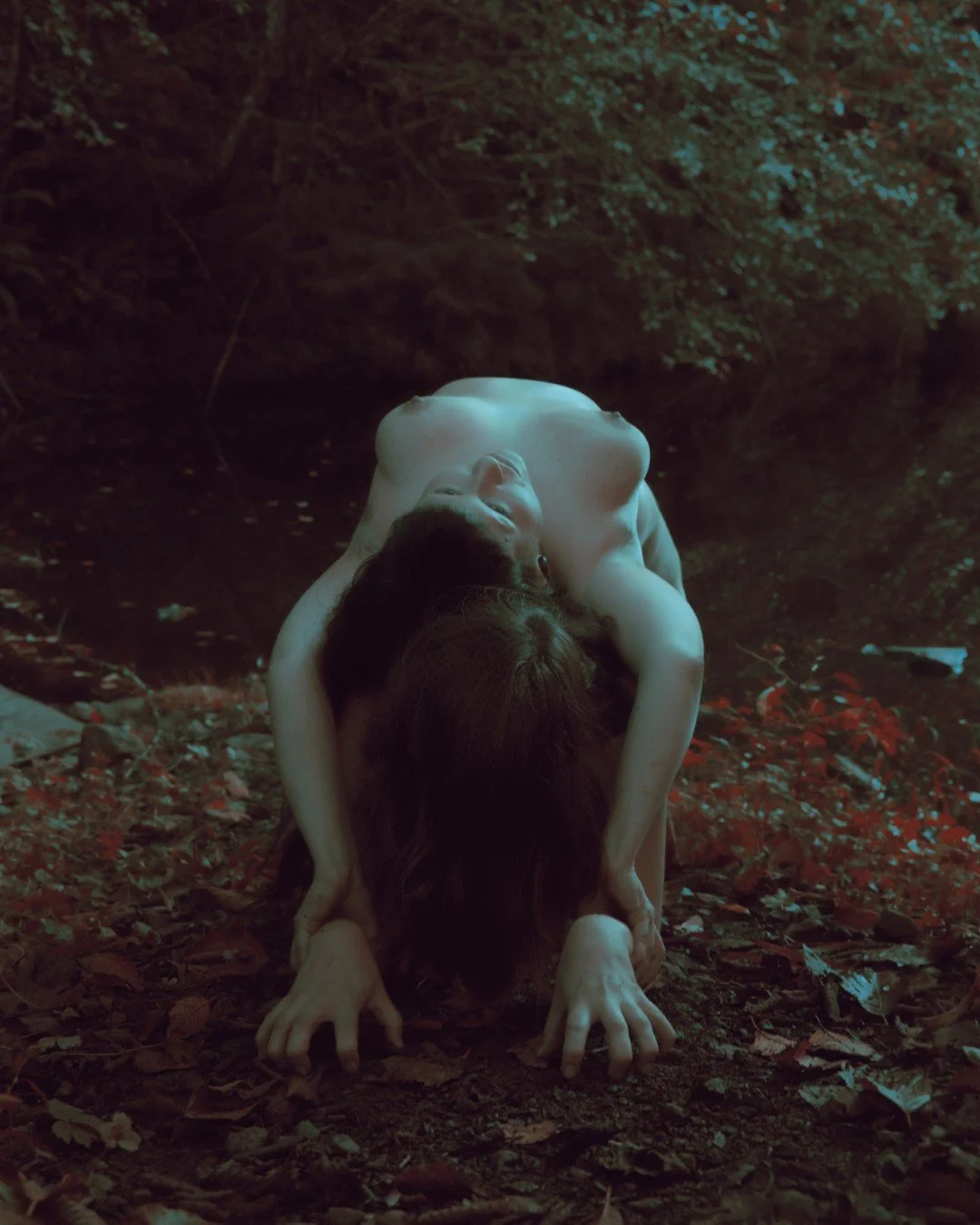 Enduring-47 (Large).JPG