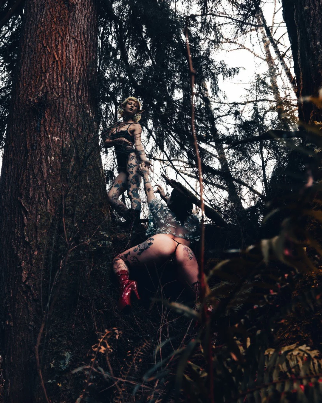 devil tree-5 (Large).JPG