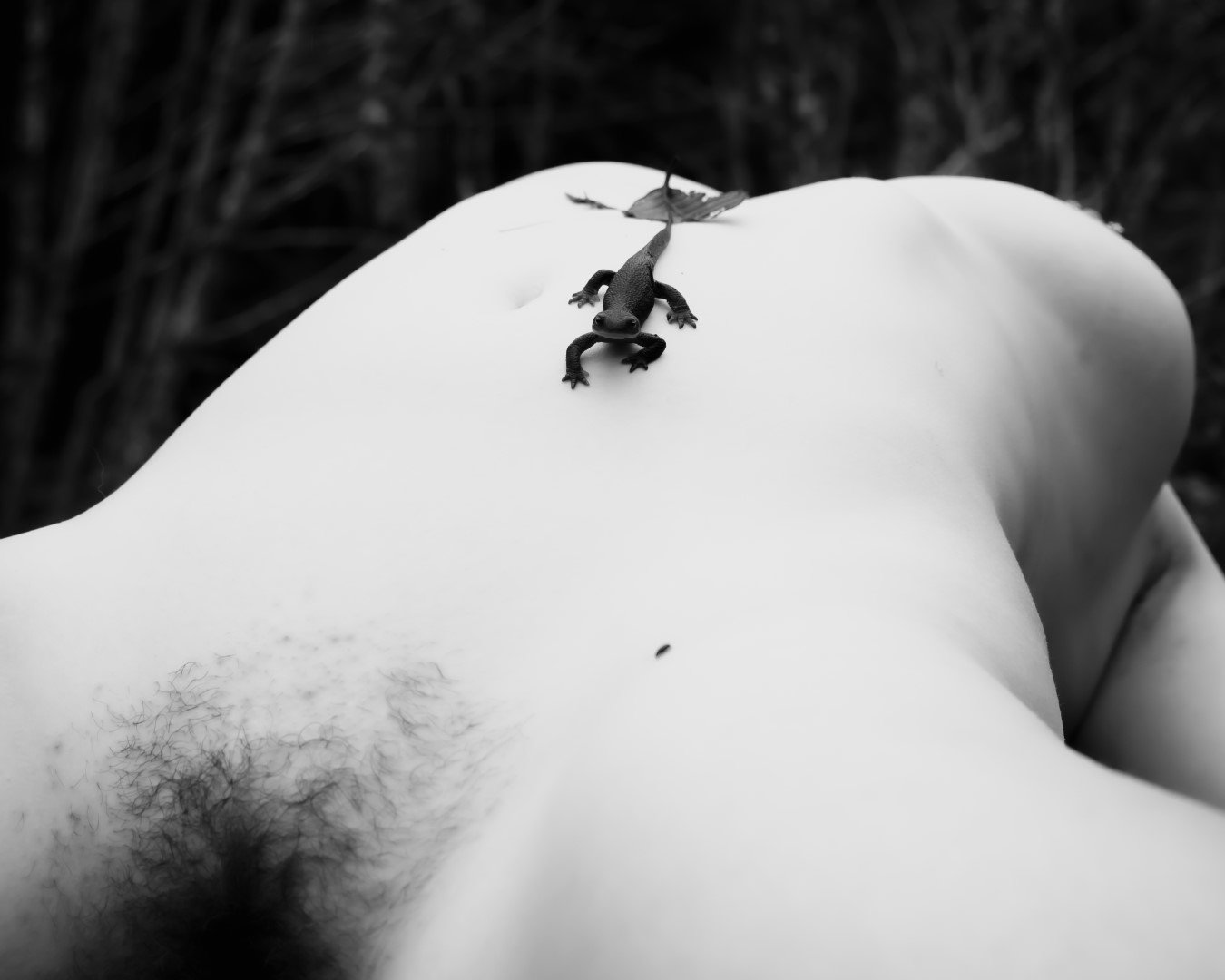 alayna pond-5 (Large).JPG