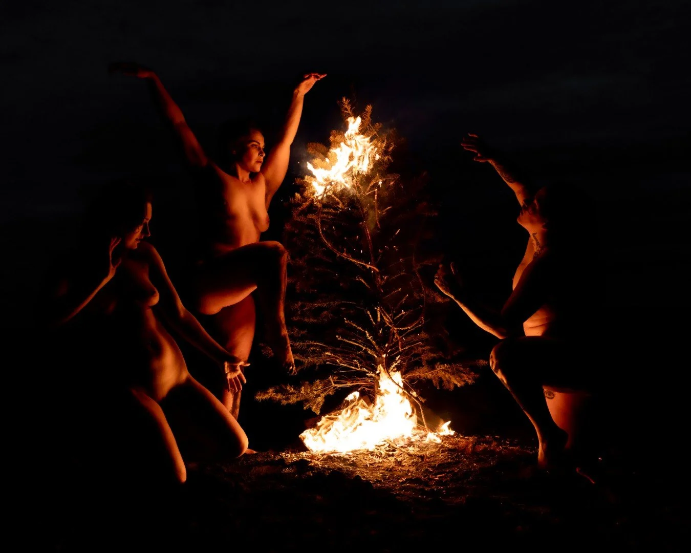 Beach Tree Fire-23 (Large).JPG