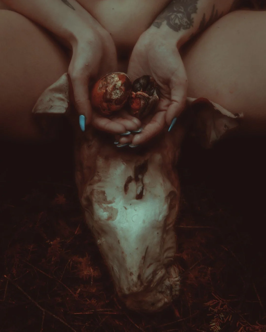 Nicole Rot-28 (Large).JPG