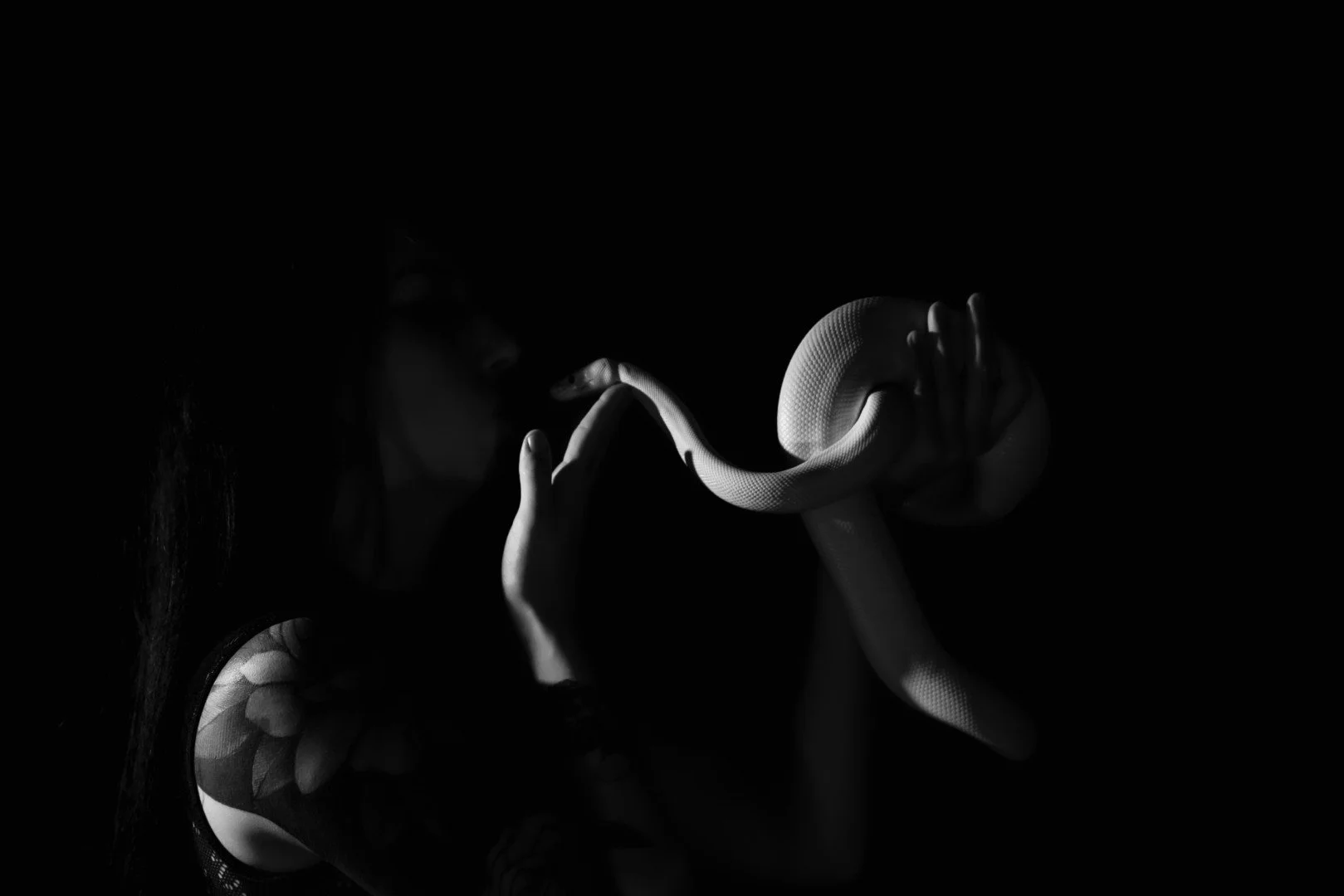 Nyx and Zuzu-6 (Large).JPG