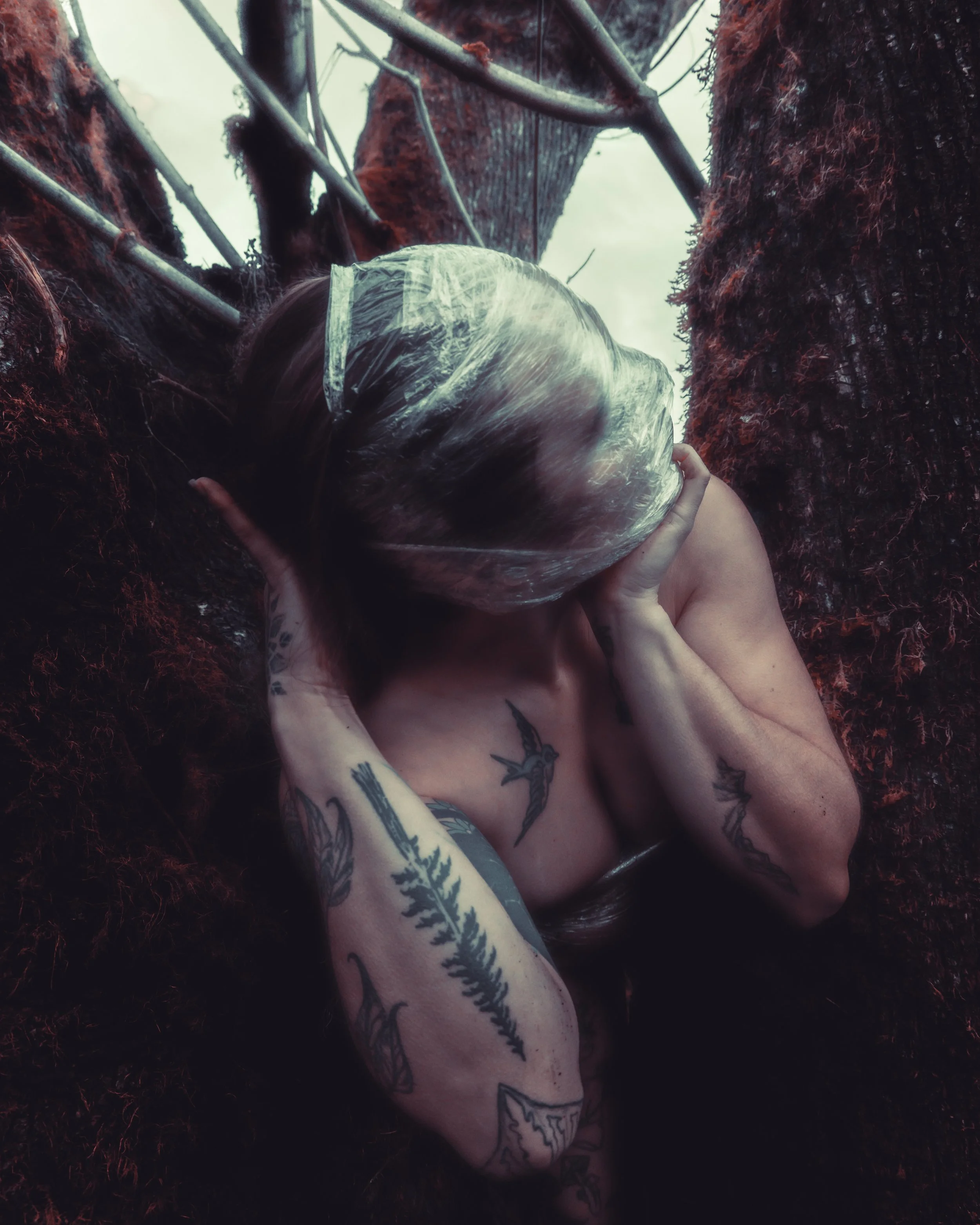 Saran Wrap Tree-32.jpg