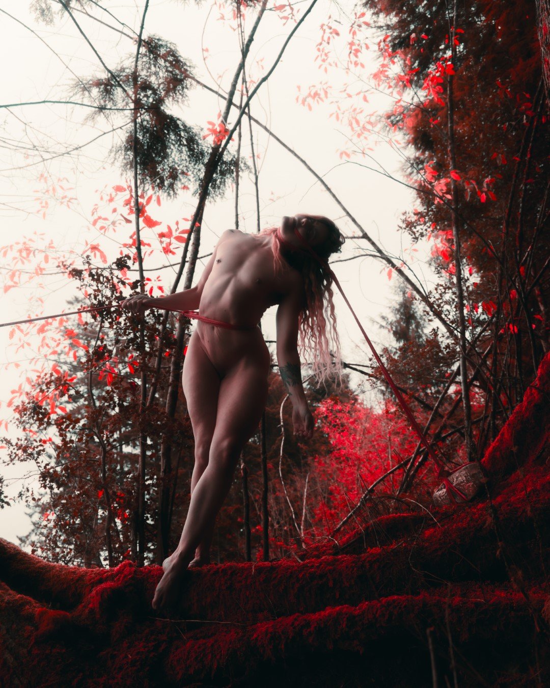 Burdened-48 (Large).JPG