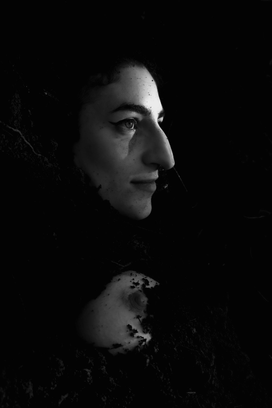 Emergence-32 (Large).JPG