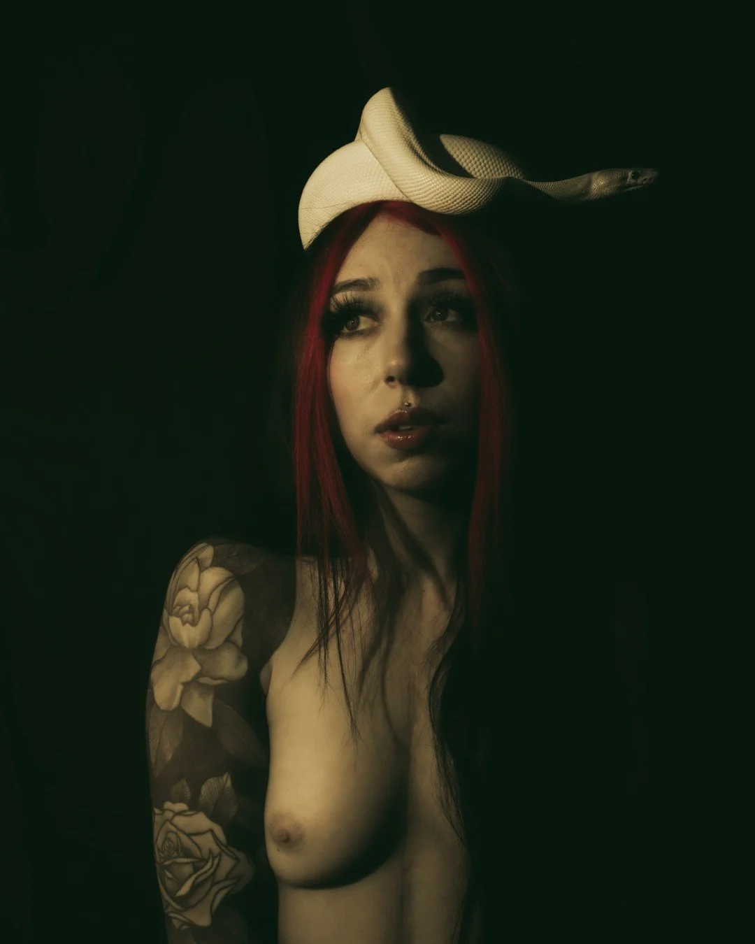 Nyx and Zuzu-61 (Large).JPG