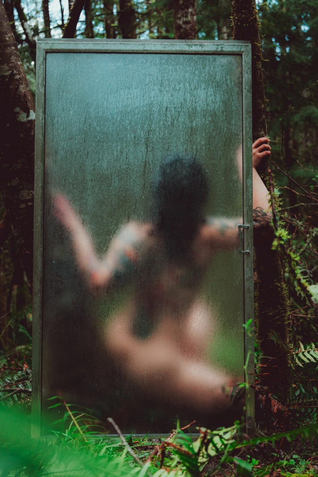 Forest Shower-15 (Large).JPG