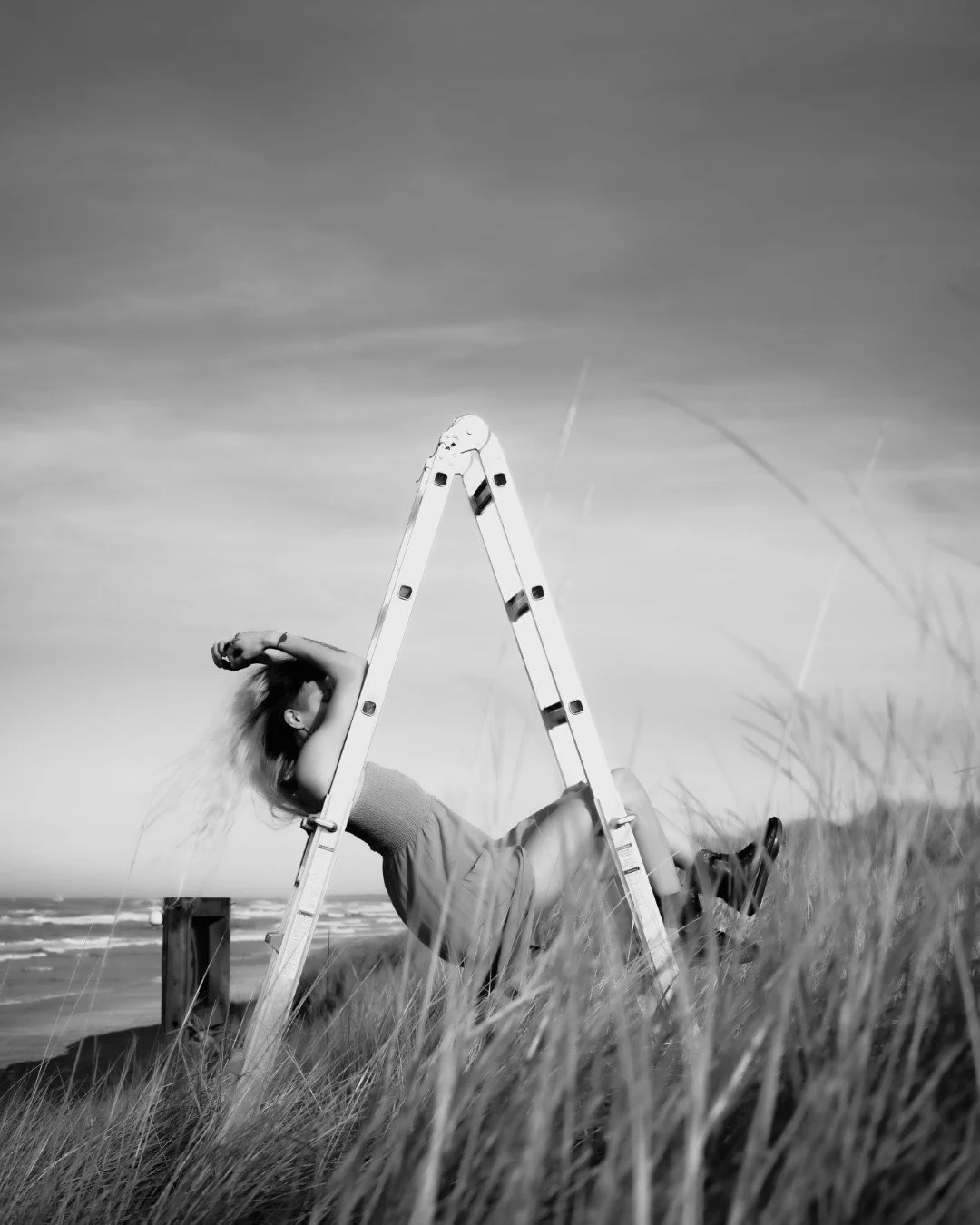 ladder-17 (Large).JPG