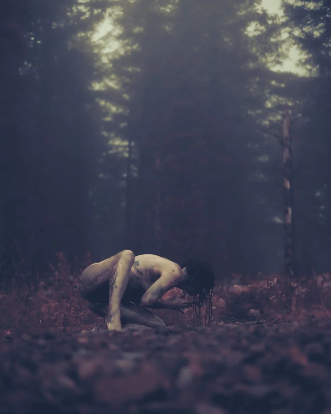 Zander wasp -52 (Large).JPG