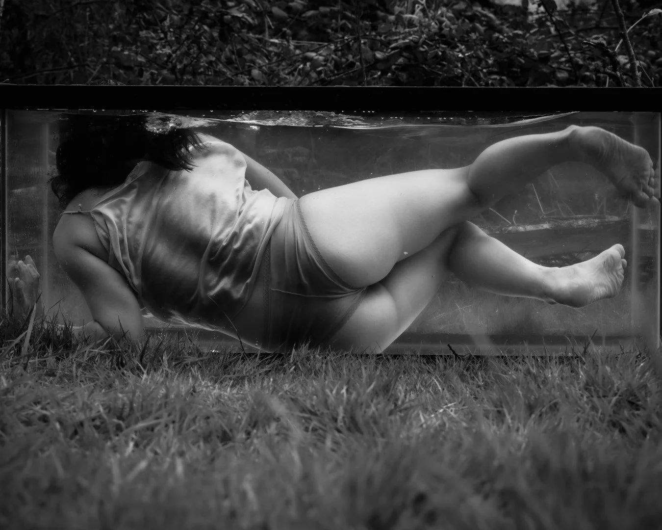 Shy Tank-22 (Large).JPG