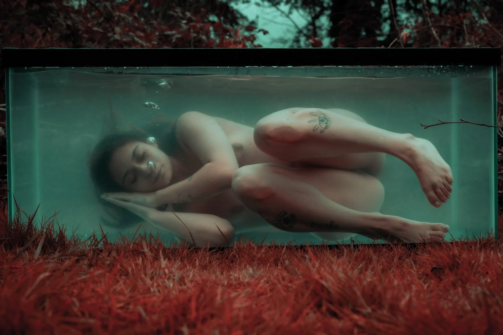 Shy Tank-47 (Large).JPG