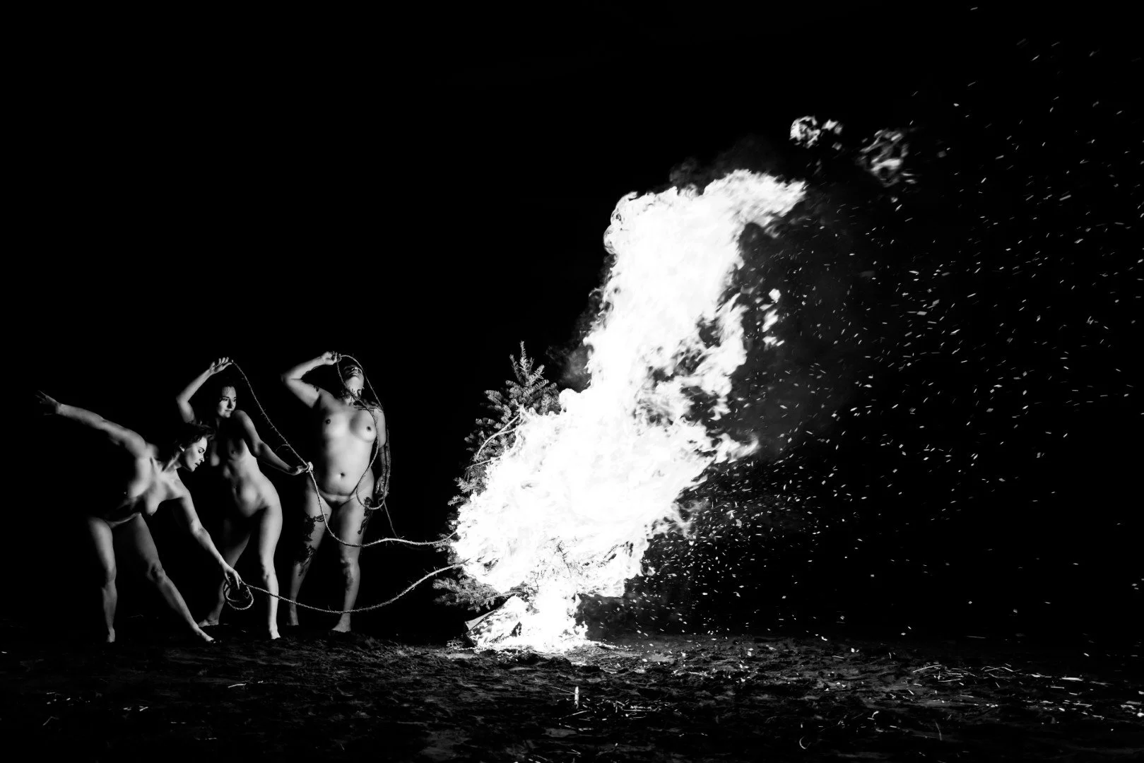 Beach Tree Fire-1 (Large).JPG