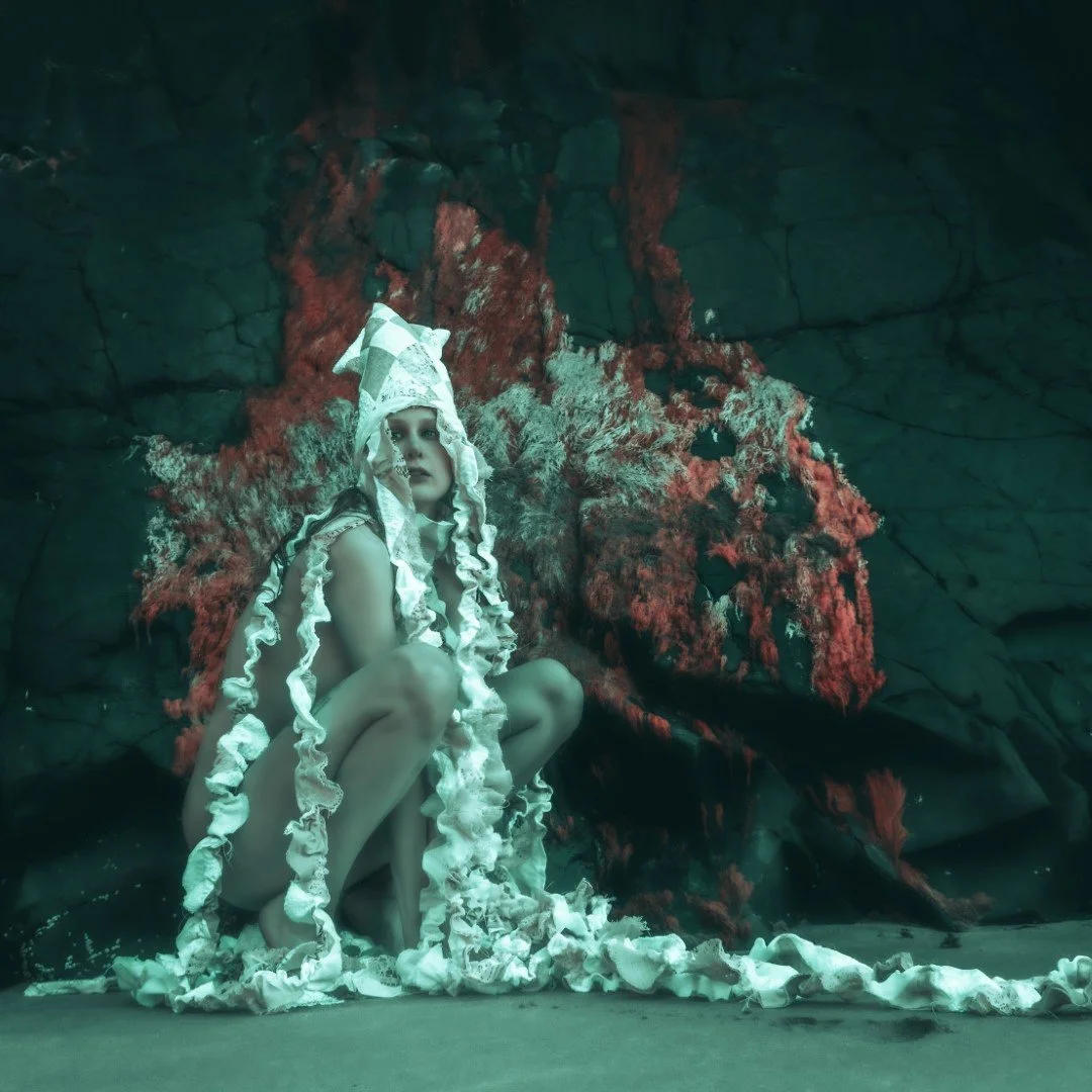 Squid beach-61 (Large).JPG