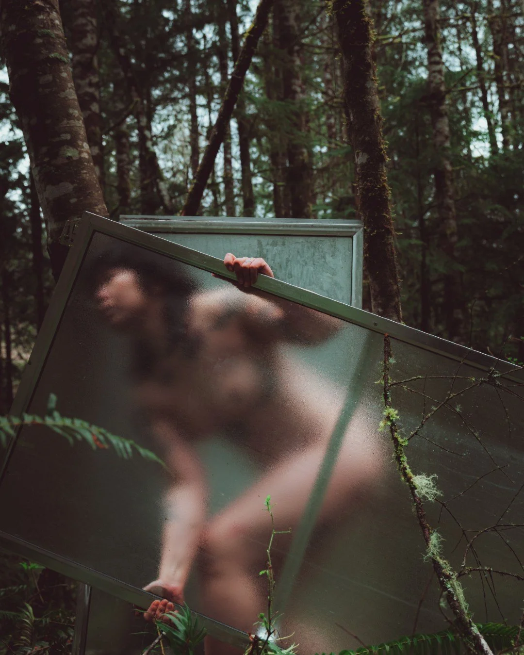 Forest Shower-59 (Large).JPG