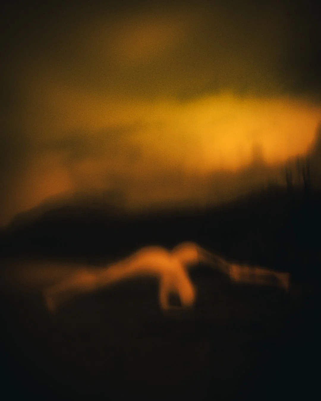 Rooster rock-80 (Large).JPG